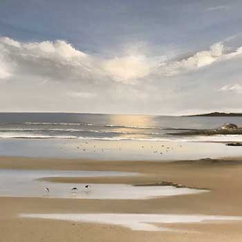 Photo 02 sur le thème Les Marines