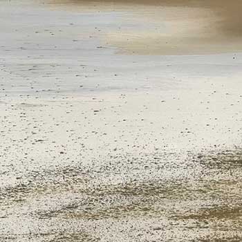 Photo 23 sur le thème Les Marines