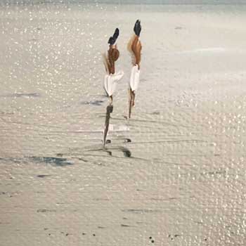 Photo 30 sur le thème Les Marines