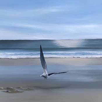 Photo 31 sur le thème Les Marines