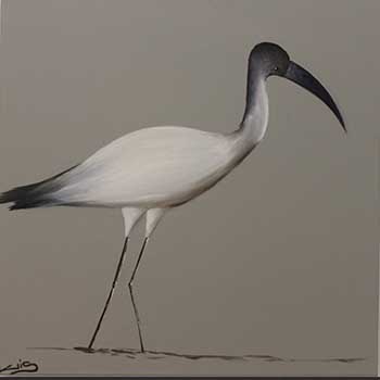 Photo 11 sur le thème Scènes de plage