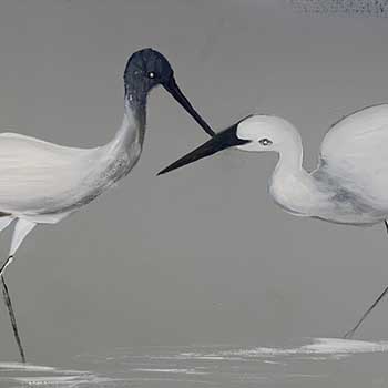 Photo 12 sur le thème Scènes de plage