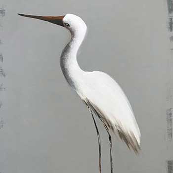 Photo 13 sur le thème Scènes de plage