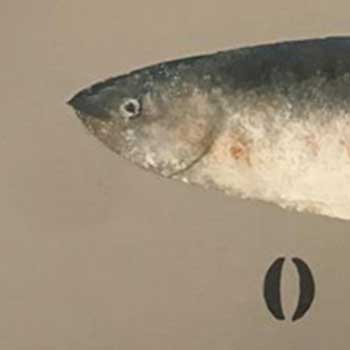 Photo 14 sur le thème Scènes de plage