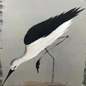 Photo 16 sur le thème Scènes de plage