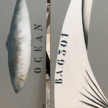 Photo 19 sur le thème Scènes de plage